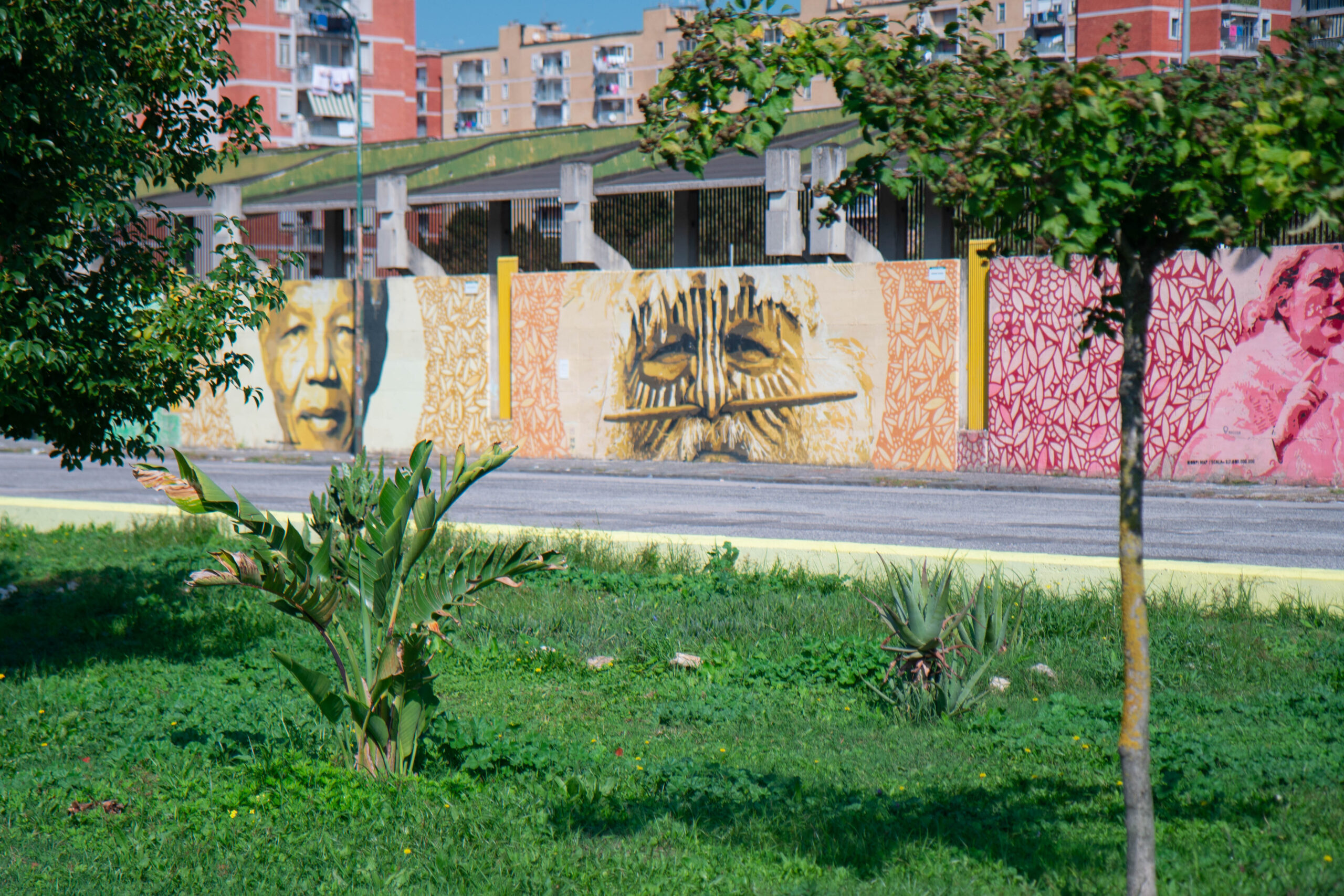 DSC05276